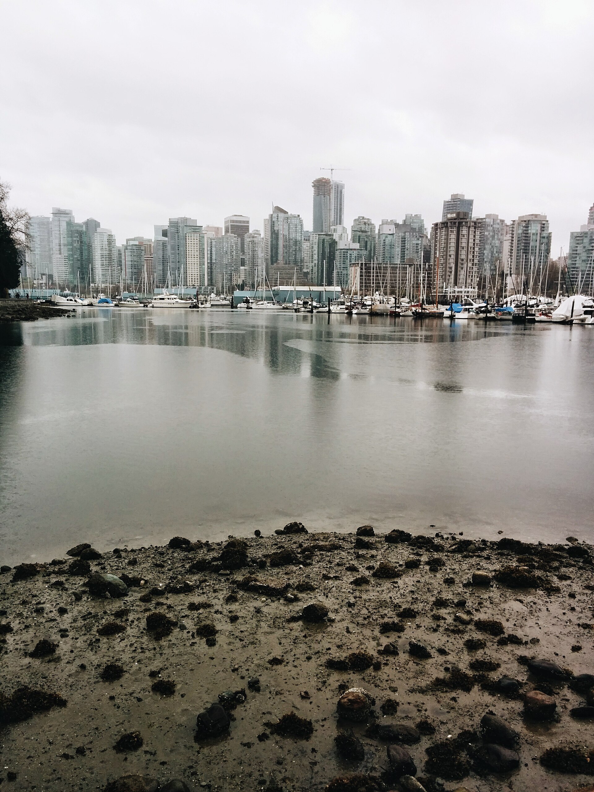Burrard Inlet looking toward the North Shore
